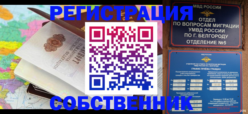 временная регистрация гарантия в Московской области